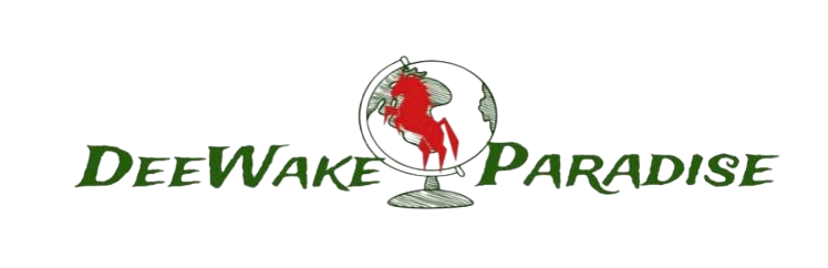 Deewake Paradise
